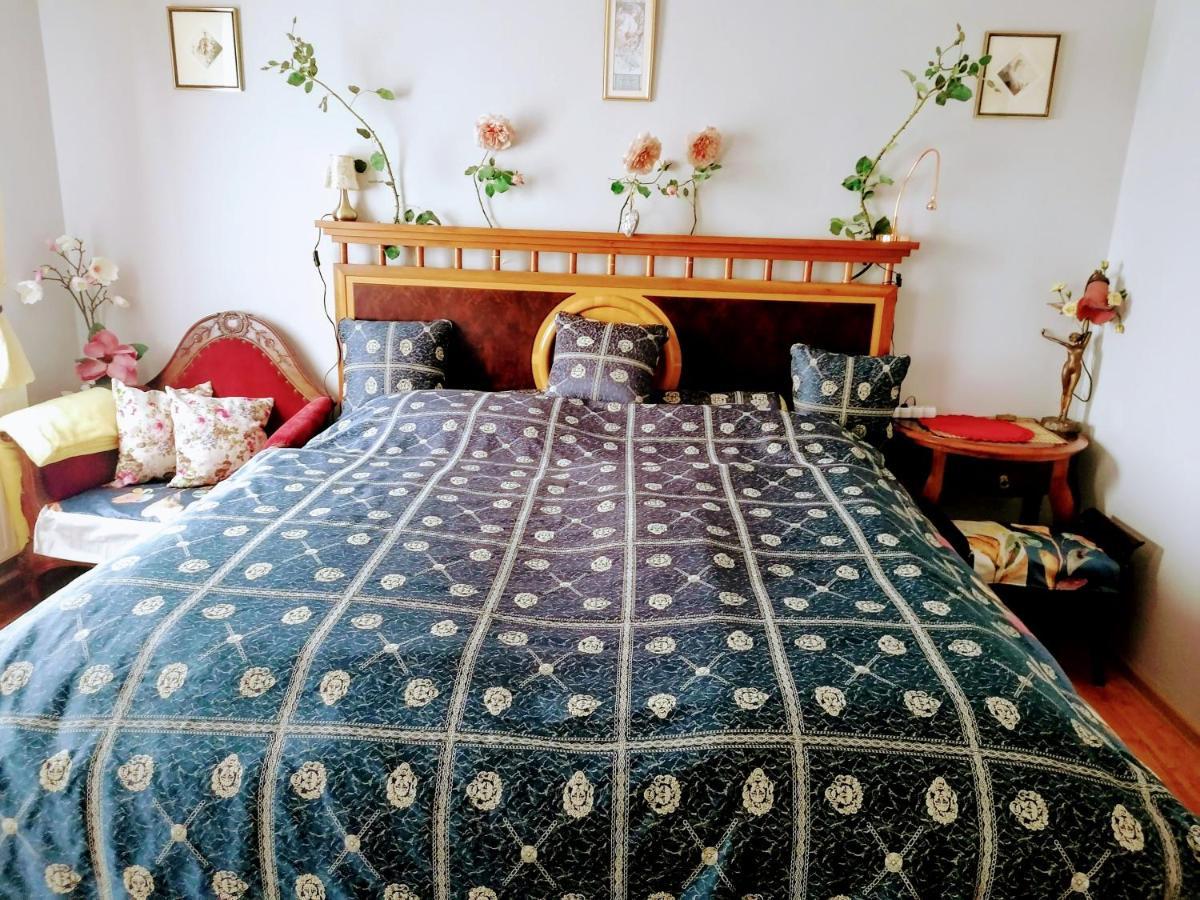 Villa Victoria Mosonmagyaróvár Dış mekan fotoğraf