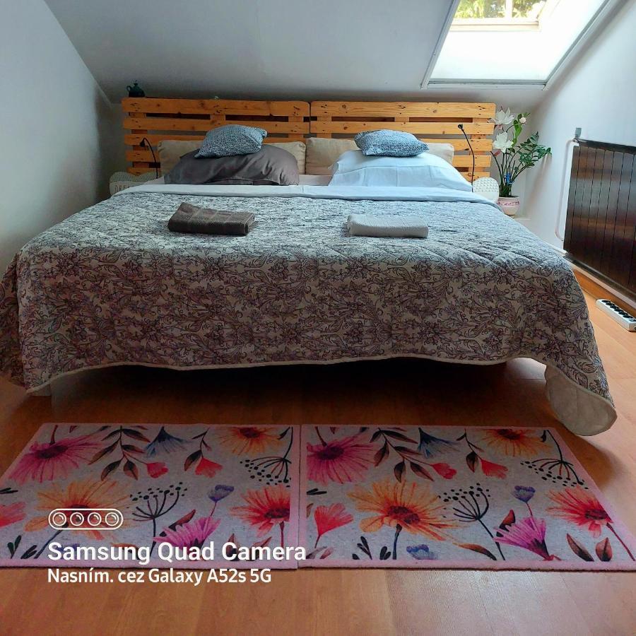 Villa Victoria Mosonmagyaróvár Dış mekan fotoğraf