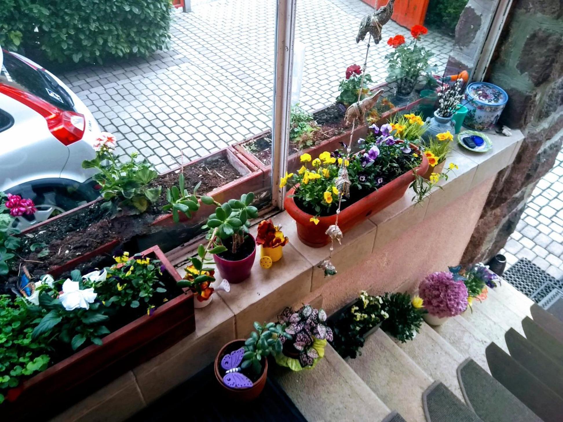 Villa Victoria Mosonmagyaróvár Dış mekan fotoğraf