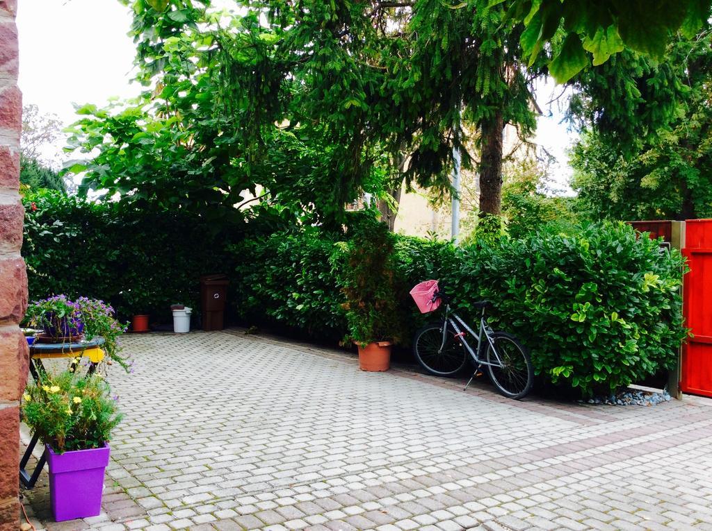 Villa Victoria Mosonmagyaróvár Dış mekan fotoğraf